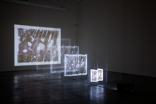 "Epicentro: Milagre" Arquipélago - Contemporary Arts Center, São Miguel, Azores, 2020
Video Installation from Fuji instant film negative transfer.