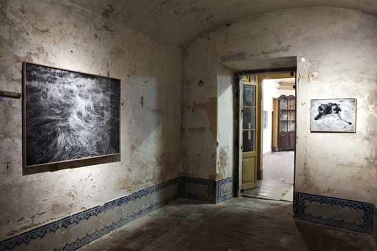 Carpe Diem Arte e Pesquisa, Project "The House of the Seven Women", Lisbon 2014
