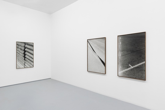 "Selva Oscura" 3+1 Arte Contemporânea, Lisbon, PT, 2025
gelatin silver print 120 x 80 cm