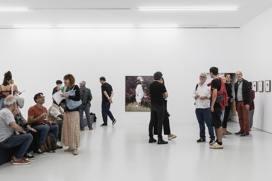 "continuum", Forum Arte Braga, PT, 2024 