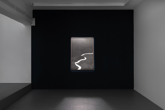 "Selva Oscura" 3+1 Arte Contemporânea, Lisbon, PT, 2025
gelatin silver print 120 x 80 cm